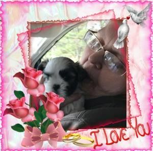 Meet your Posher, Debbie